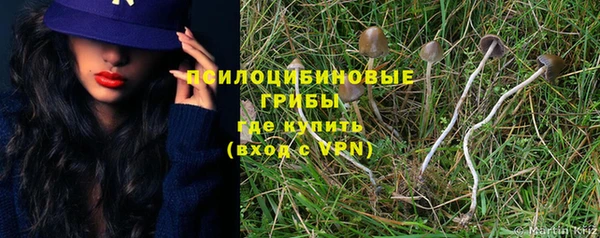 твердый Карталы