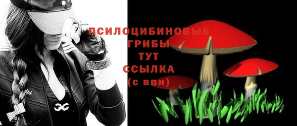 твердый Карталы