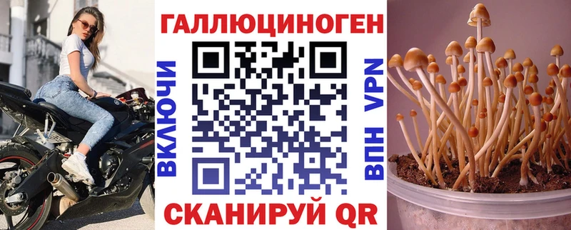 Галлюциногенные грибы прущие грибы  Купить закладки  Нижняя Тура 