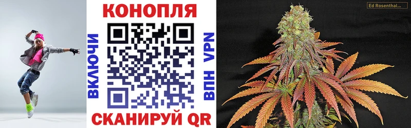 Купить закладки  Нижняя Тура  Канабис план 